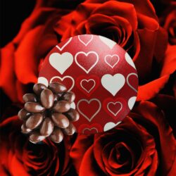 Sugarless deLite - Milk Chocolate Almond Tins