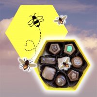 Hexagonal Bee Box:Bee Mine Chocolate Box Pkg